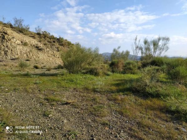 Terreno en Escribano, 23