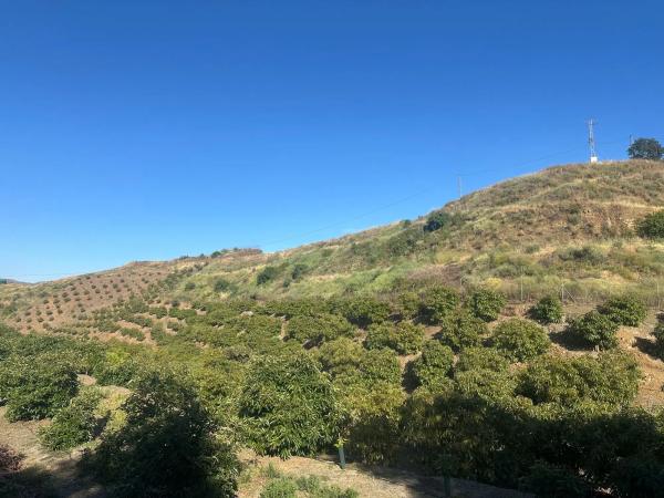 Terreno en Benamocarra, 8