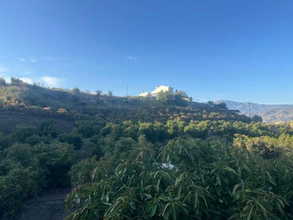 Terreno en Benamocarra, 8