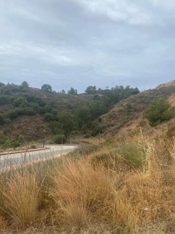 Terreno en calle Campo Europa de Cala Golf, 1