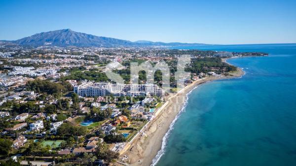 Terreno en calle Gladiolo, 19 -1