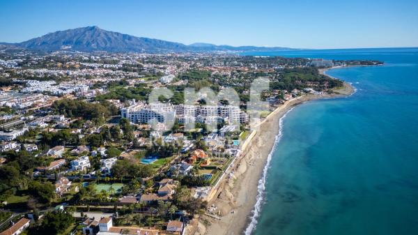 Terreno en calle Gladiolo, 19 -1