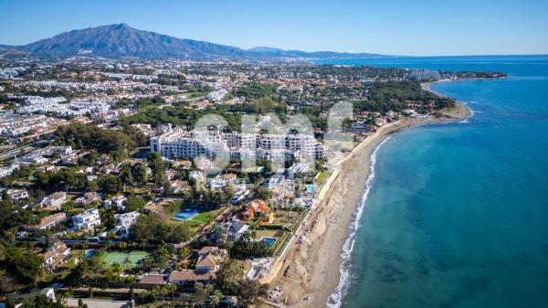 Terreno en calle Gladiolo, 19 -1