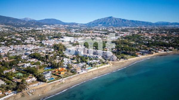 Terreno en calle Gladiolo, 19 -1