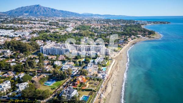 Terreno en calle Gladiolo, 19 -1