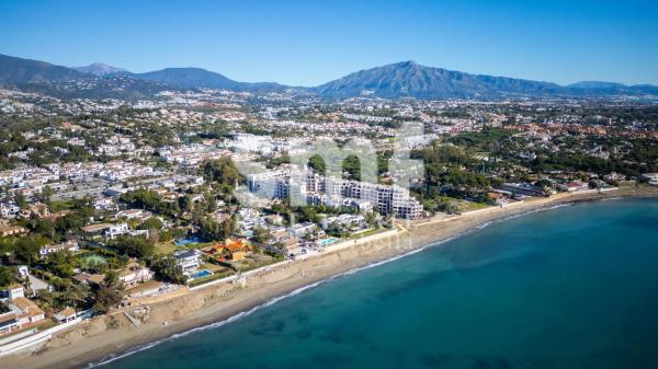 Terreno en calle Gladiolo, 19 -1