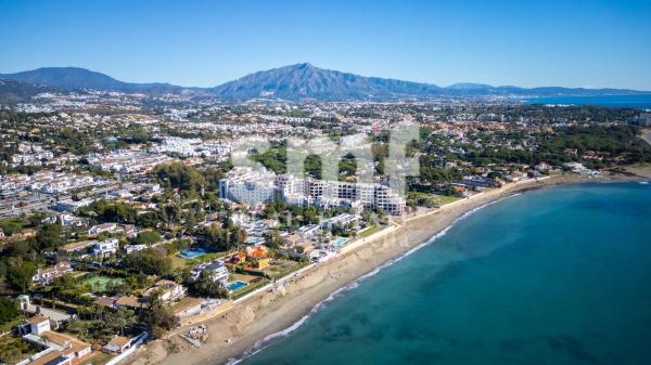 Terreno en calle Gladiolo, 19 -1