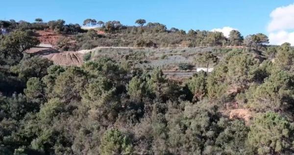 Terreno en calle Montemayor