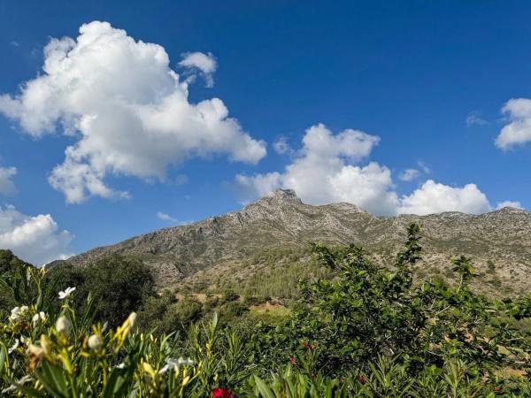 Terreno en Barrio Valdeolletas-Las Cancelas-Xarblanca