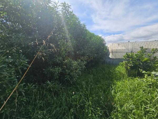 Terreno en camino Estación Cártama
