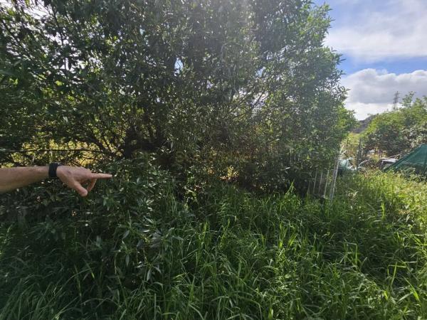 Terreno en camino Estación Cártama
