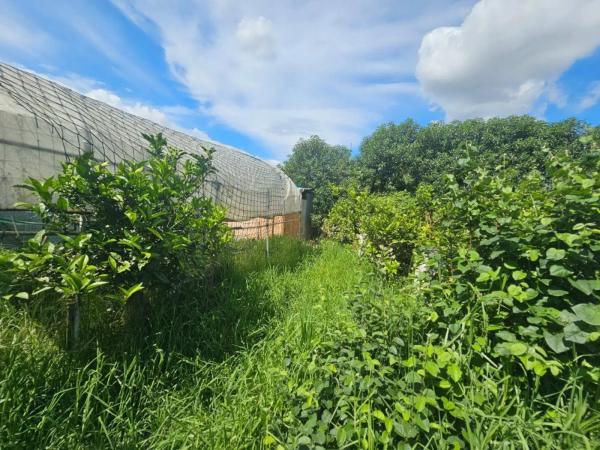 Terreno en camino Estación Cártama
