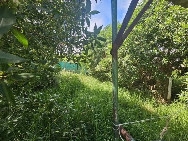 Terreno en camino Estación Cártama