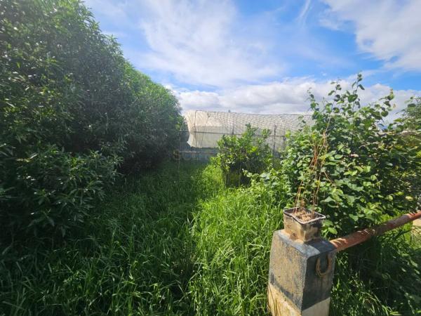 Terreno en camino Estación Cártama