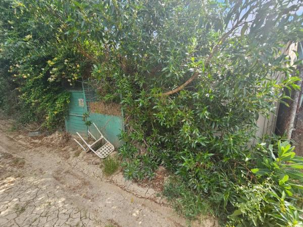 Terreno en camino Estación Cártama