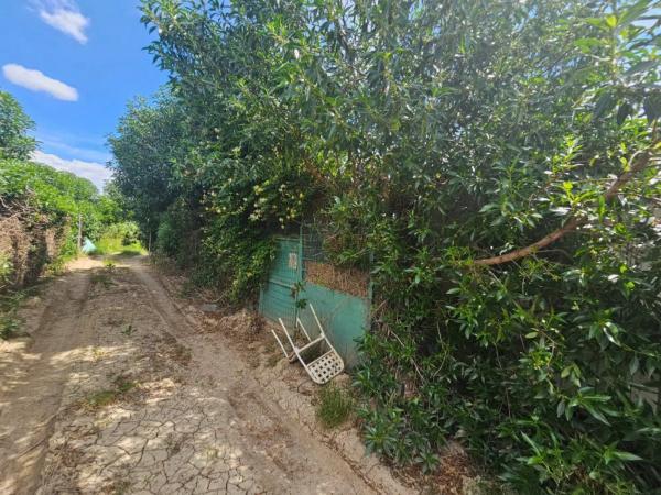 Terreno en camino Estación Cártama