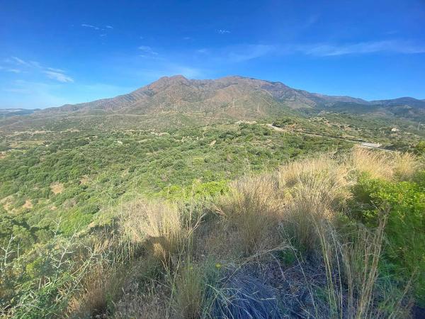 Terreno en Altos de Estepona