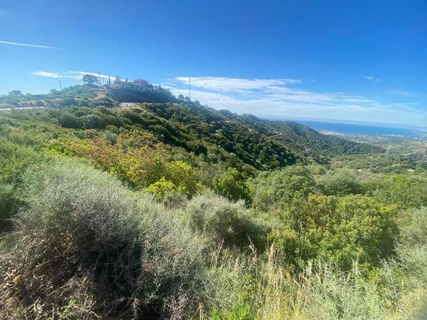 Terreno en Altos de Estepona