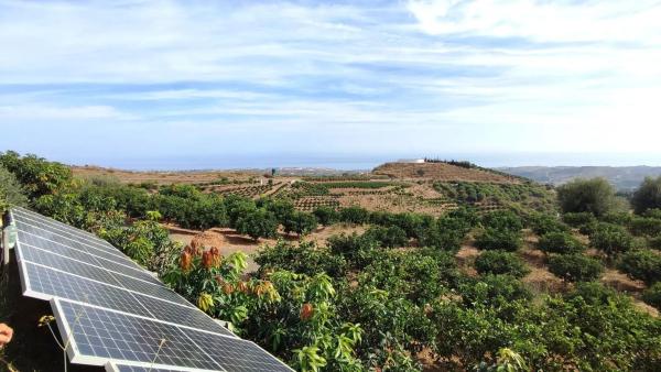 Terreno en Diseminado Cajiz Rural 181 poligono 35