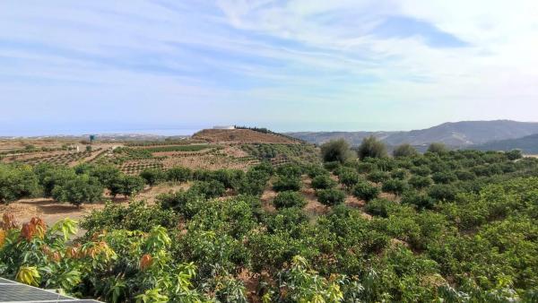 Terreno en Diseminado Cajiz Rural 181 poligono 35