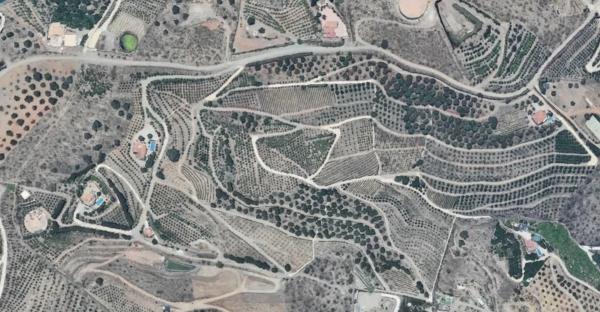 Terreno en Diseminado Cajiz Rural 181 poligono 35