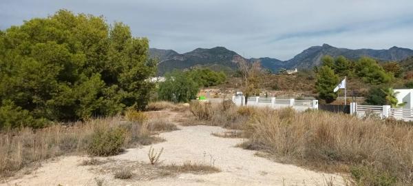 Terreno en camino de Frigiliana