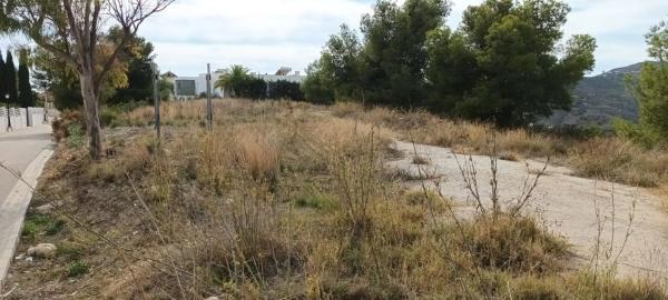 Terreno en camino de Frigiliana