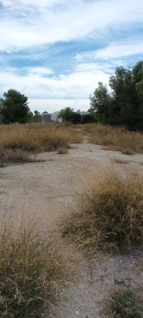 Terreno en camino de Frigiliana