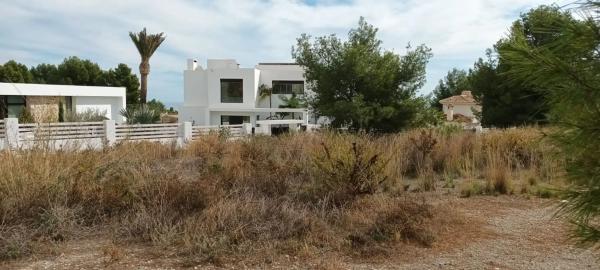 Terreno en camino de Frigiliana