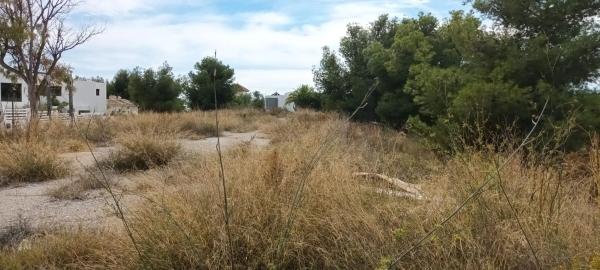 Terreno en camino de Frigiliana