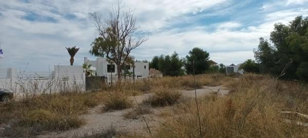 Terreno en camino de Frigiliana