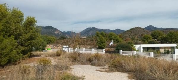 Terreno en camino de Frigiliana