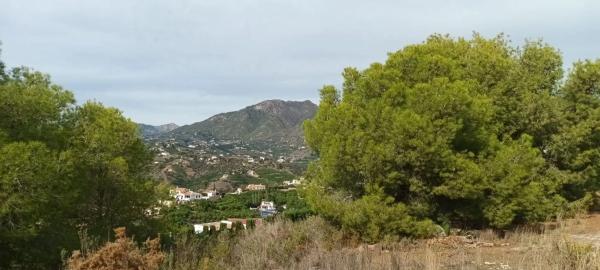 Terreno en camino de Frigiliana