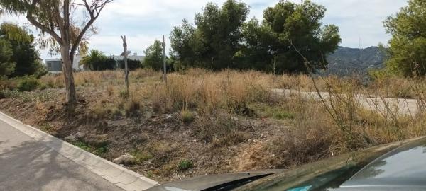 Terreno en camino de Frigiliana