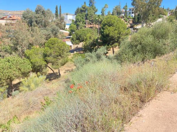 Terreno en calle Perú