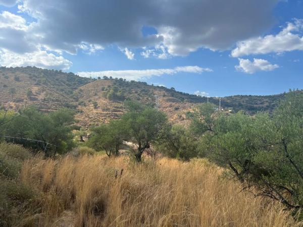 Terreno en Diseminado Diseminados, km 2