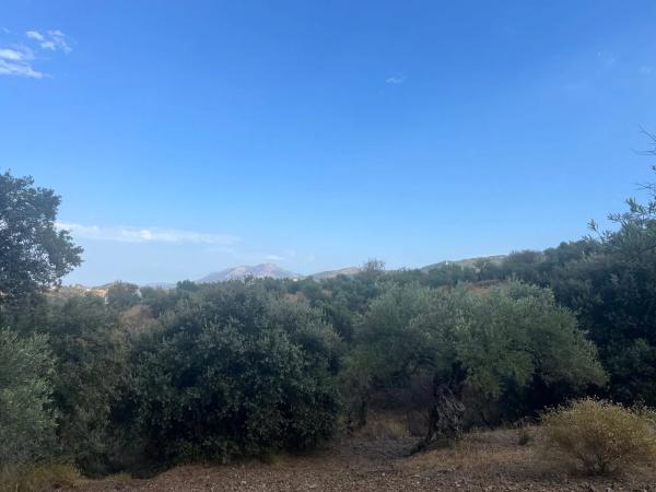 Terreno en Diseminado Diseminados, km 2