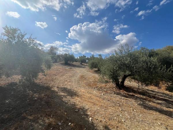 Terreno en Diseminado Diseminados, km 2