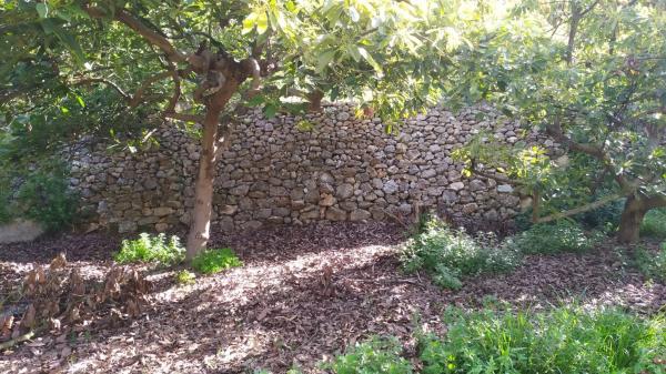 Terreno en Paraje Almachares, 60