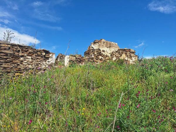 Terreno en Diseminado Arroyo de la Cala, 66