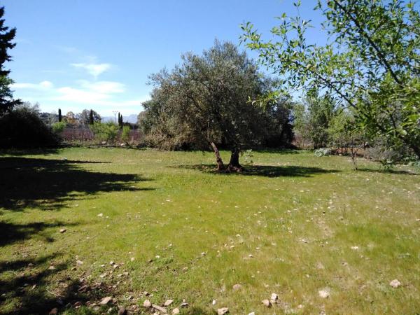 Terreno en Partidas norte