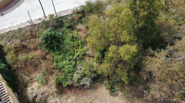 Terreno en calle Bartolomé de las Casas