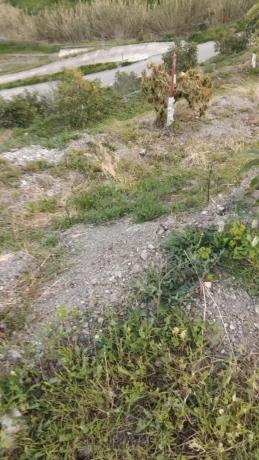 Terreno en calle Diseminado Diseminados