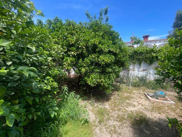 Terreno en Barrio Fuente Alegre - El Chaparral - Los Morales