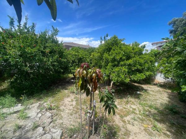 Terreno en Barrio Fuente Alegre - El Chaparral - Los Morales
