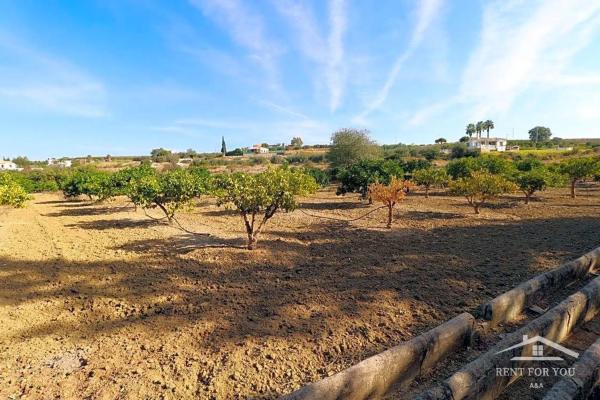 Terreno en calle Cruz
