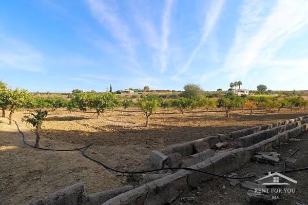 Terreno en calle Cruz
