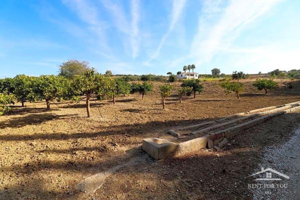 Terreno en calle Cruz