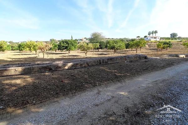 Terreno en calle Cruz