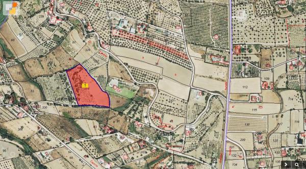 Terreno en calle Cruz